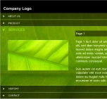 Turn on sound and view Flash template . . . .